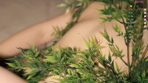 Toshi online show from 20, 10, 2025