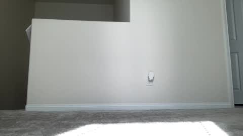 ASH online show from 26, 10, 2025