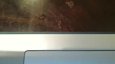 totxxx335 online show from 15, 12, 2025