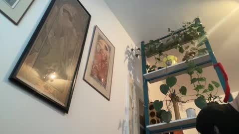 toybdsmguy online show from 28, 12, 2024