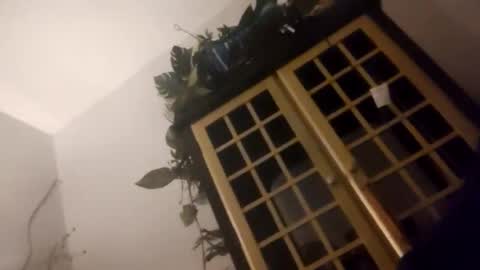 trans167456 online show from 19, 12, 2025