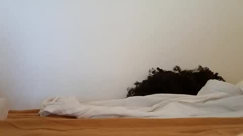 transexblackfat online show from 19, 11, 2025