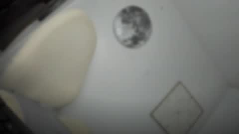 Snapshot of transnextdoor_ chatting on 26, 3, 2026 ALMIGHTY GODDESS VALENTINA online show from 26, 3, 2026