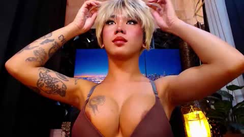 transpornidol online show from 18, 12, 2025