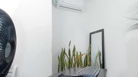 Snapshot of transwhore_ chatting on 9, 3, 2026 CLEO online show from 9, 3, 2026