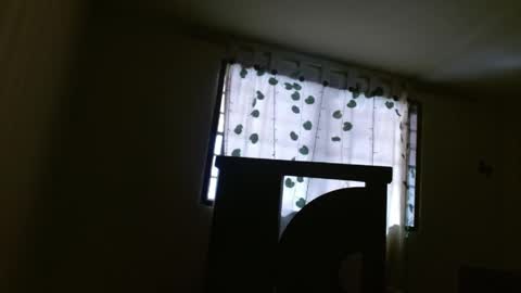 trebol_4 online show from 21, 5, 2026