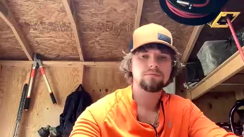 treeman817 online show from 27, 5, 2026