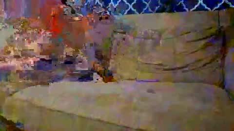 trex23rd online show from 2, 12, 2025