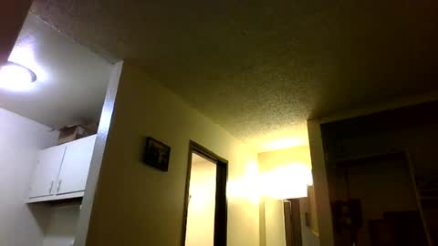 trickydick6 online show from 14, 6, 2026