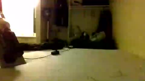 trickydick6 online show from 25, 6, 2026