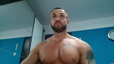 Snapshot of tridentmuscles chatting on 3, 12, 2024 tridentmuscles online show from 3, 12, 2024