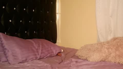 trinatrina94 online show from 19, 12, 2025