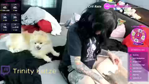 Trin Kat pet online show from 26, 9, 2025