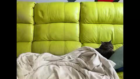 Ramiro online show from 3, 4, 2026