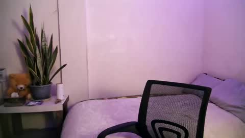 trisha online show from 26, 12, 2024