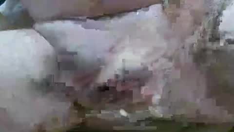 Snapshot of troy1965 chatting on 11, 2, 2026 troy1965 online show from 11, 2, 2026