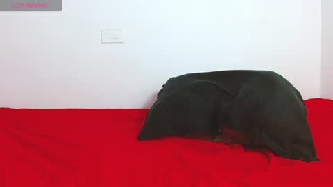 sebas online show from 28, 6, 2026