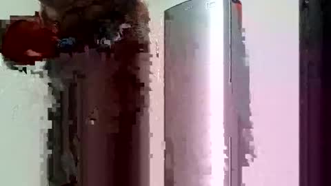 ts_herrera online show from 2, 2, 2025