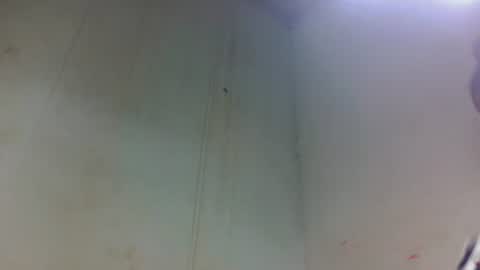 tsaralaza online show from 6, 11, 2025