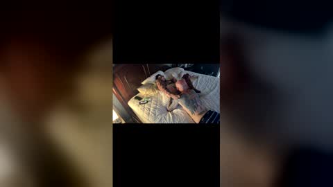 Snapshot of tslizzy0084 chatting on 29, 3, 2026 tslizzy0084 online show from 29, 3, 2026