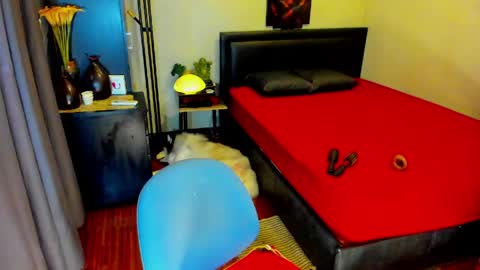 Snapshot of tssophisticatedx chatting on 13, 5, 2026 Kylee- will make your day online show from 13, 5, 2026