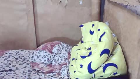 Snapshot of tswinterlily69 chatting on 29, 12, 2024 carmella online show from 29, 12, 2024