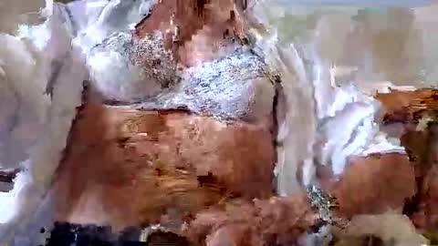 FINN but call me NANNA online show from 9, 9, 2025