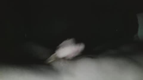 tucker 28 m online show from 24, 3, 2026