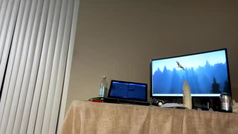 Duke Dillinger online show from 29, 1, 2025