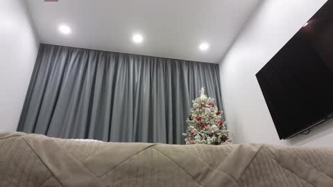 Ariana online show from 16, 12, 2024