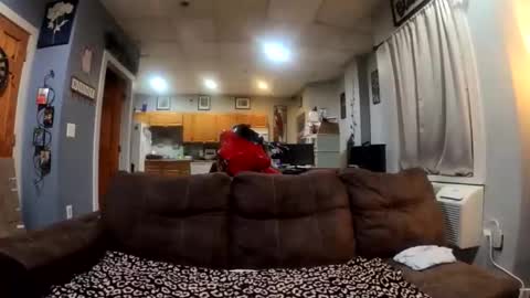 twicethetease2 online show from 8, 2, 2026