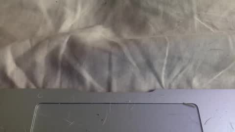 twinkybell online show from 7, 11, 2025