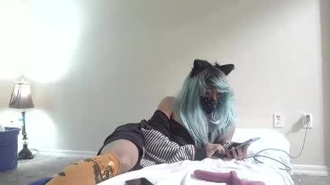 twinkyteddy online show from 6, 10, 2025