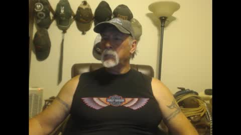 txlobo60 online show from 19, 3, 2026
