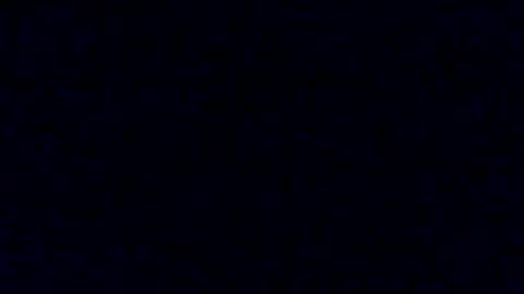 Snapshot of tyforsharing chatting on 17, 1, 2025 Tyler Chen online show from 17, 1, 2025