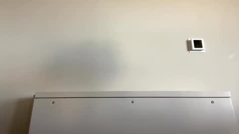 TylerC online show from 21, 9, 2025