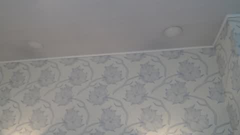 tyrafox online show from 5, 12, 2025