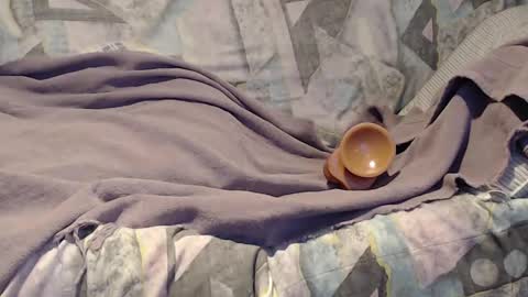 Snapshot of tyson2525 chatting on 21, 9, 2025 Helena and Tyson online show from 21, 9, 2025