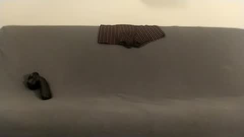 u4456674952 online show from 8, 2, 2026