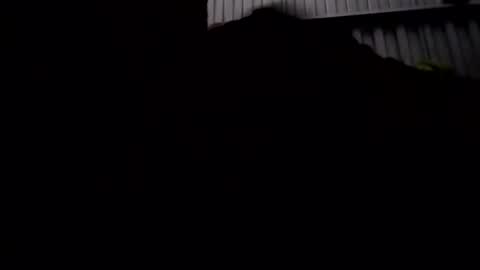 uin404400012345 online show from 26, 12, 2024