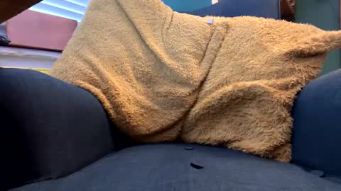 ukclive online show from 5, 2, 2025