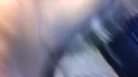 Snapshot of uncut7half237495 chatting on 17, 10, 2025 uncut7half237495 online show from 17, 10, 2025