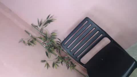 Snapshot of unknown_trans18 chatting on 5, 4, 2026 unknown_trans18 online show from 5, 4, 2026