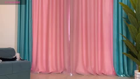 Jenny online show from 4, 4, 2026