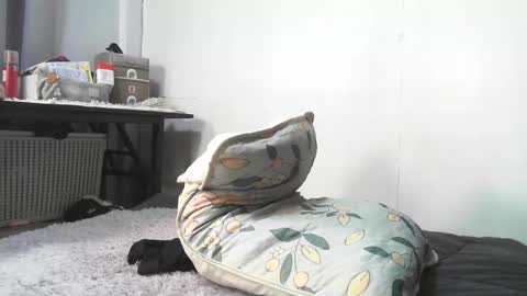 Rbabes online show from 3, 2, 2026