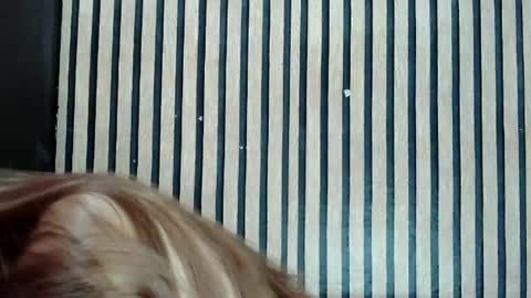 Snapshot of urskinny_girl chatting on 25, 2, 2025 Jane online show from 25, 2, 2025