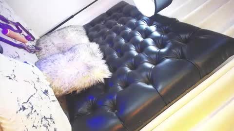 Snapshot of urtrans_princess chatting on 3, 2, 2026 Maria Im looking for a local and socal fucking guy online show from 3, 2, 2026