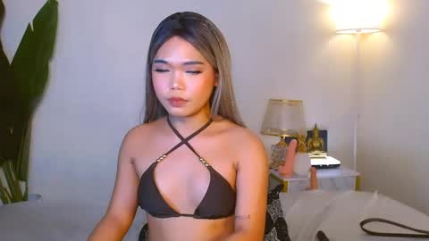 Urwildest farrah online show from 11, 5, 2026