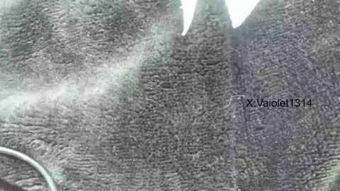 Snapshot of vaioletuwu chatting on 26, 1, 2025 Vaiolet1314 online show from 26, 1, 2025