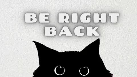VALE online show from 28, 6, 2026